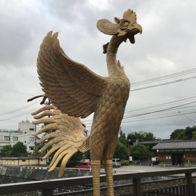 okayamamomoko1's profile picture. 