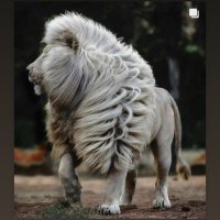 CryptoJack 🚀 (@incryptojack) 's Twitter Profile Photo CryptoJack 🚀 (@incryptojack) 's Twitter Profile Photo