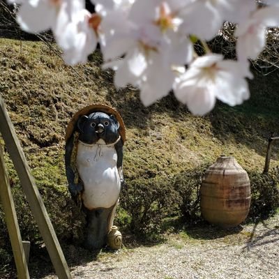 트위터의 みなみん 님 やっと手に入れたー 長かったよー W テンの日 Dq10 ドルボード プレゼントチケット メタル天馬プリズム 트위터의 みなみん 님 やっと手に入れたー 長かったよー W テンの日 Dq10 ドルボード プレゼントチケット メタル天馬プリズム