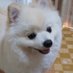 Hiroshi🐕💙💛 (@hiroshi19661024) Twitter profile photo Hiroshi🐕💙💛 (@hiroshi19661024) Twitter profile photo