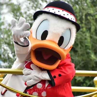 donald_theatre's profile picture. 2024.11.2💒ランホバルコニーアルコーヴ/2023.4.15💒ミラコテラス/ 2022.10.9✨💍/ #ドナドナのカウントダウン/ハイピ好き✨/#ドナドナのハネムーン/#分析してエントリーしまうす/エントリーについて情報交換(フィードバック中✨)DM〇🙂/ドナルド好きな94🚹️/写真は保存💮転載🙅