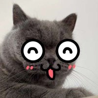 猫老师scupt (@scuptone) 's Twitter Profile Photo 猫老师scupt (@scuptone) 's Twitter Profile Photo