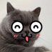 猫老师scupt (@scuptone) Twitter profile photo 猫老师scupt (@scuptone) Twitter profile photo