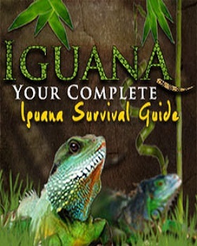 Iguana Owners is run by Simply Business LLC. Our objective is to provide you the best information about owning and taking care of a Iguana as a pet.