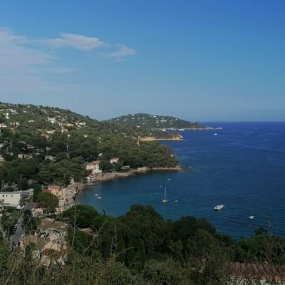 heithoumsh's profile picture. 