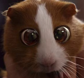 nCux0's profile picture. 