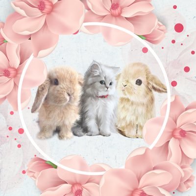 Swtlovebunny Profile Picture