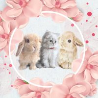 🐰🐰🐱Adore you ❤️💚💕(@Swtlovebunny) 's Twitter Profile Photo