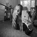 Amelia (@millshumphreyx) Twitter profile photo Amelia (@millshumphreyx) Twitter profile photo