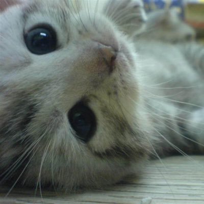 まー