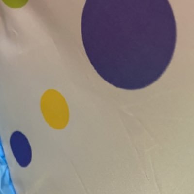 himegumama1's profile picture. 