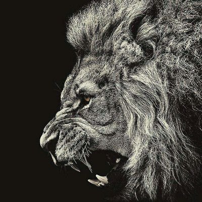 EeshanMohammad's profile picture. Mohammad Eeshan
Citizen GCA
I don't give a flying fuck🖕
wish me on 1 October
Libra ♎