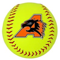 Ladycat Softball(@LadycatSoftbal1) 's Twitter Profile Photo