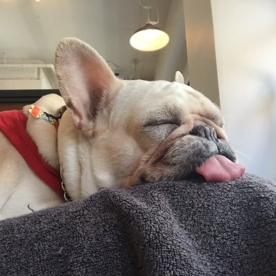 qtakako007's profile picture. 映画・音楽・本が好き。最近はお笑いライブにも。練馬区出身、豊島区民。エンタメ愛で生きてます