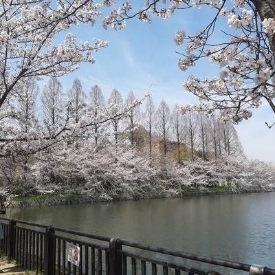 atsushi93550390's profile picture. 