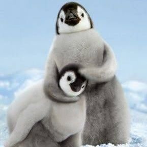 nk_cagdas's profile picture. 