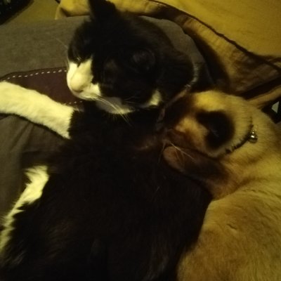 starz_kim's profile picture. 