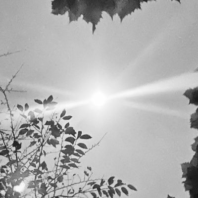 健全に、さらに深く愛されますようにと祈る