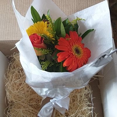 euvidabelavida's profile picture. 