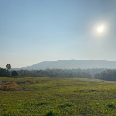 pagii_s's profile picture. 🤍