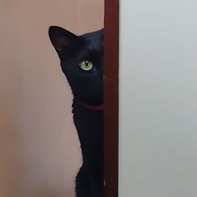 らぴゅせる