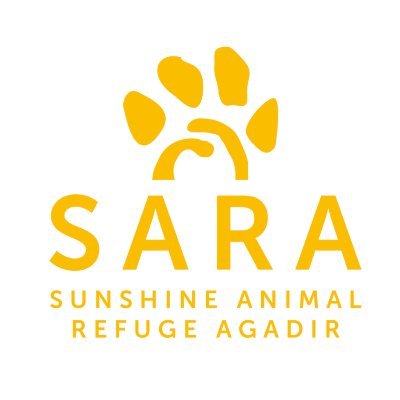 1200 rescued stray animals in refuge Agadir region. Help care for them & raise awareness re animal welfare https://t.co/pC8eQpY9wf or adopt!