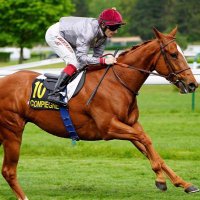 Star Bloodstock (@starbloodstock) 's Twitter Profile Photo Star Bloodstock (@starbloodstock) 's Twitter Profile Photo