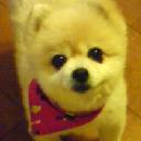 10338b (@10338b) Twitter
