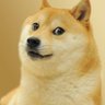 JohnGalt0013's profile picture. 