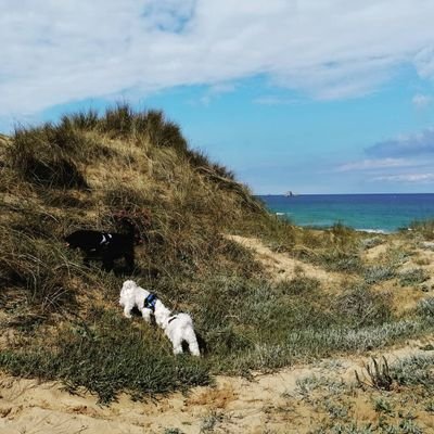 Amante de la naturaleza, el mar y la montaña son mi pasión. Ig @rosinabeach
Educadora de profesión y ampliando horizontes.