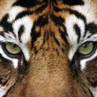 Daniel Delgado Diaz (@danieldelgadod8) 's Twitter Profile Photo Daniel Delgado Diaz (@danieldelgadod8) 's Twitter Profile Photo
