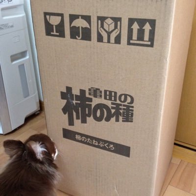 楽しく面白く生きていきたい(^^)