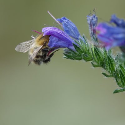 Helping communities to make their local spaces wilder places for nature. Working on our first project in Surrey