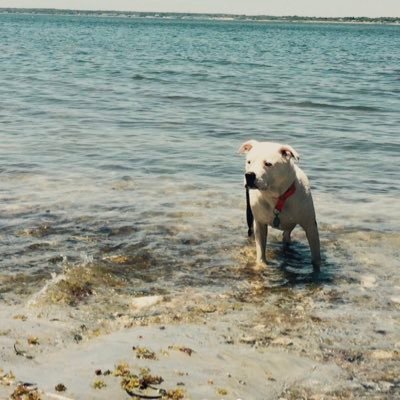 TdotTerror7's profile picture. Crypto crazy and lovin it !!!!!!