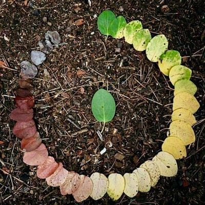 AnaLucyRodrguez's profile picture. 