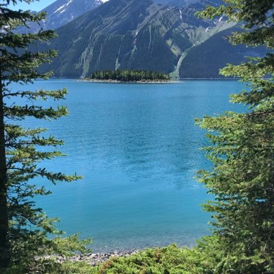 undistributedf's profile picture. 