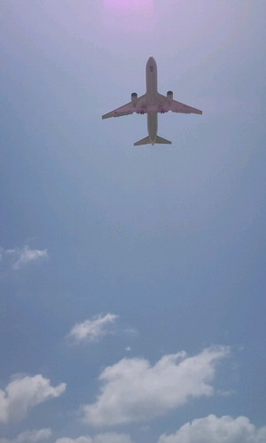 nananatsuki's profile picture. 