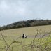 Surrey Hills and South Downs (@hillsanddowns) Twitter profile photo Surrey Hills and South Downs (@hillsanddowns) Twitter profile photo