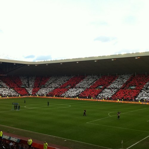 freebettipster's profile picture. 