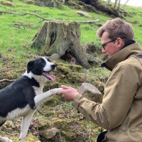 Tom Vickers (@tomvickers7) 's Twitter Profile