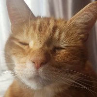 Marie Aisthorpe (@maz60059) 's Twitter Profile Photo Marie Aisthorpe (@maz60059) 's Twitter Profile Photo