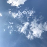 ray (@ray99131855) 's Twitter Profile Photo ray (@ray99131855) 's Twitter Profile Photo