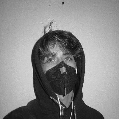 david_st3jskal's profile picture. 