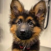 charzdebadtz (@charzdemakana) 's Twitter Profile