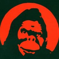 Wolves vs. Monkey Kong(@WlvVsMonkeyKong) 's Twitter Profile Photo