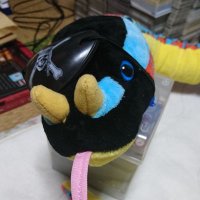 ãããŒð (@cqwjimhdjg1gdoe) 's Twitter Profile