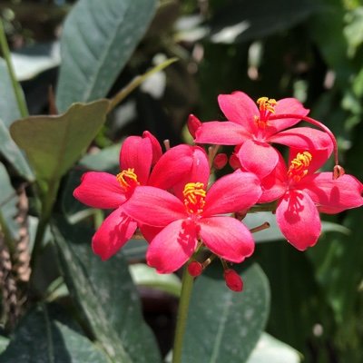 7373aiw's profile picture. 