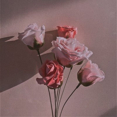 camellia5369's profile picture. 少女画・美人画/アクリルガッシュ・水彩・顔料