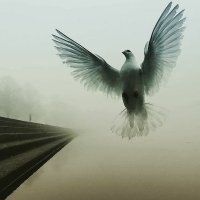 Tarık Yıldızı (@tarkyld30455000) 's Twitter Profile Photo Tarık Yıldızı (@tarkyld30455000) 's Twitter Profile Photo