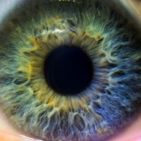 OjoUrbano_Mérida (@ojourbano_mid) 's Twitter Profile